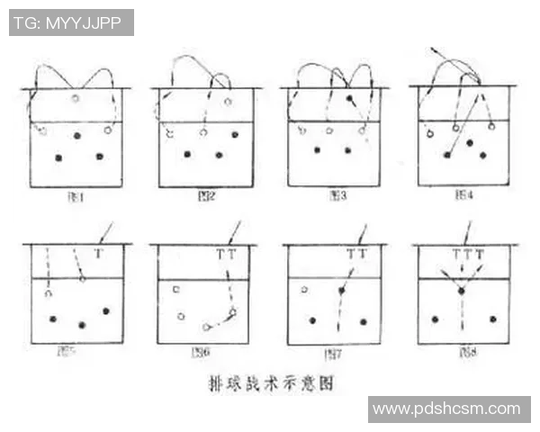 南京排球队的转换打法深度分析与战术创新探讨