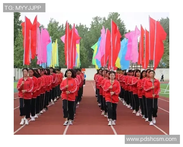 南京极限运动队在极限运动会中的耐力表现分析与点评