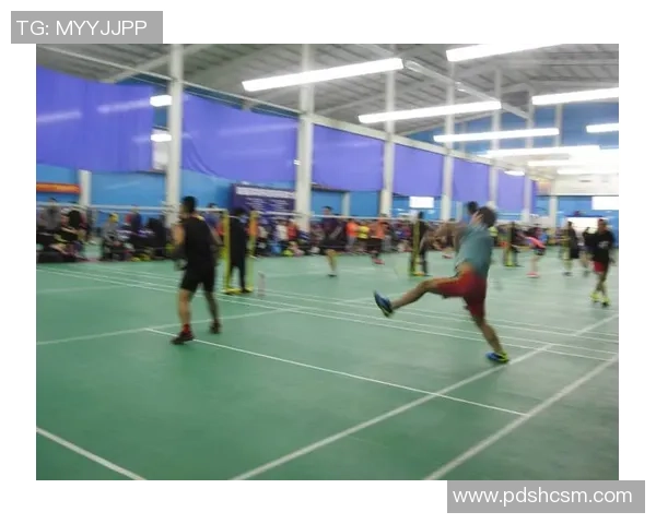 南京羽毛球队在世锦赛中的力量展现与战术分析