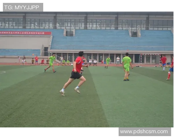 南京羽毛球队进攻革新之路探索与实践分析