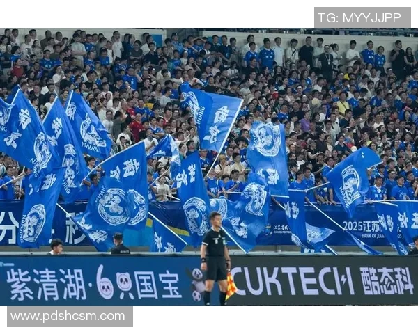 南京足球队实力对比深度剖析与未来发展潜力探讨