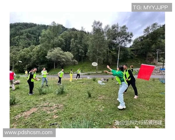 南京飞盘队默契配合揭秘:团队协作与战术分析的深度探讨 南京飞盘队默契配合揭秘:团队协作与战术分析的深度探讨