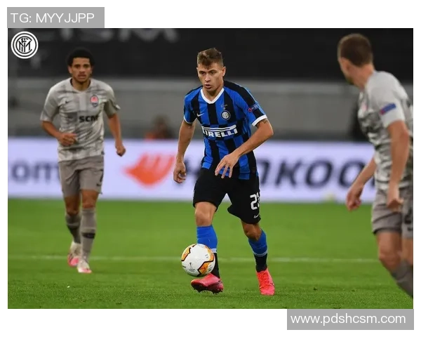 南京飞盘队区域防守策略揭秘与战术分析深度探讨